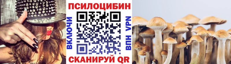 Галлюциногенные грибы Magic Shrooms  Купить где  Казань 
